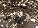 dscn0282.jpg