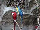 dscn0294.jpg
