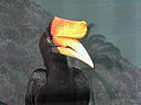 dscn0302.jpg