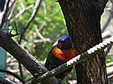 dscn0323.jpg