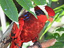 dscn0327.jpg