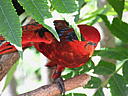 dscn0328.jpg