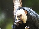 dscn0344.jpg