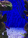 img_1527.jpg