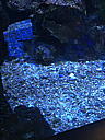 img_1529.jpg