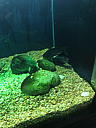 img_1540.jpg
