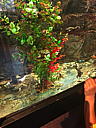 img_1541.jpg