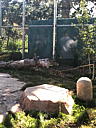 img_1548.jpg