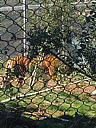 img_1550.jpg