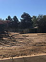 img_1552.jpg