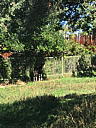 img_1554.jpg