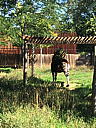 img_1555.jpg
