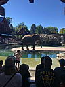 img_1560.jpg