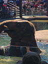 img_1561.jpg