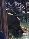 img_1562.jpg
