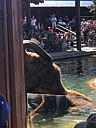 img_1563.jpg