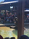 img_1564.jpg