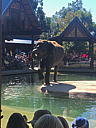 img_1565.jpg