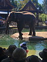 img_1567.jpg