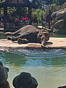 img_1570.jpg