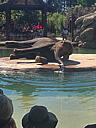 img_1571.jpg