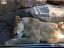 img_1579.jpg