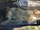 img_1580.jpg