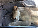 img_1581.jpg