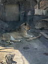 img_1584.jpg