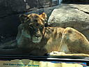 img_1585.jpg