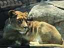img_1587.jpg