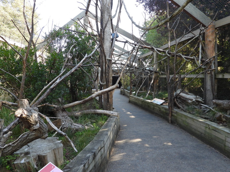 dscn0943.jpg