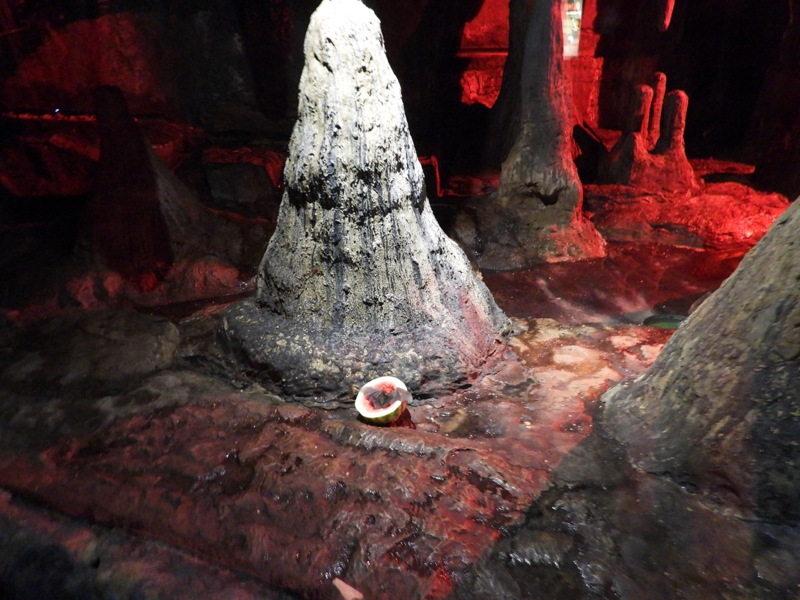 dscn0970.jpg