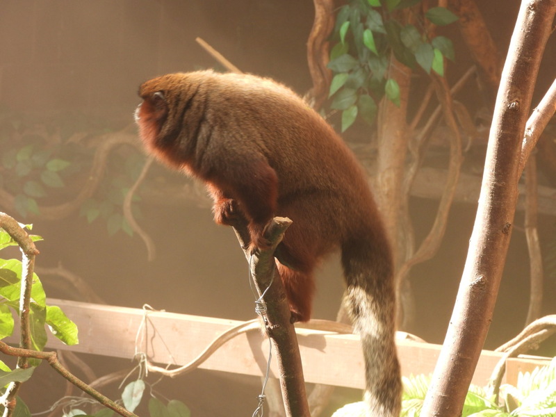 dscn0980.jpg