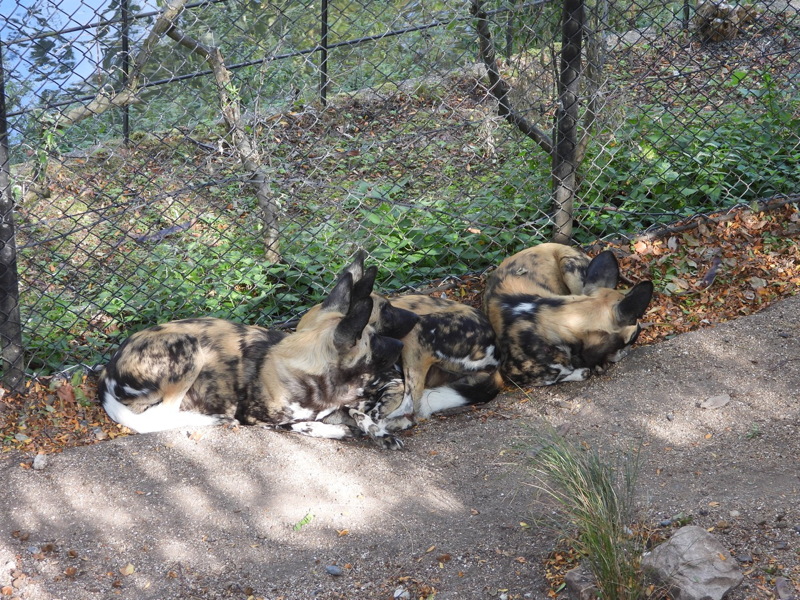 dscn1014.jpg