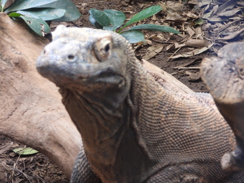 dscn1045.jpg