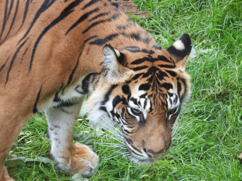 dscn1061.jpg