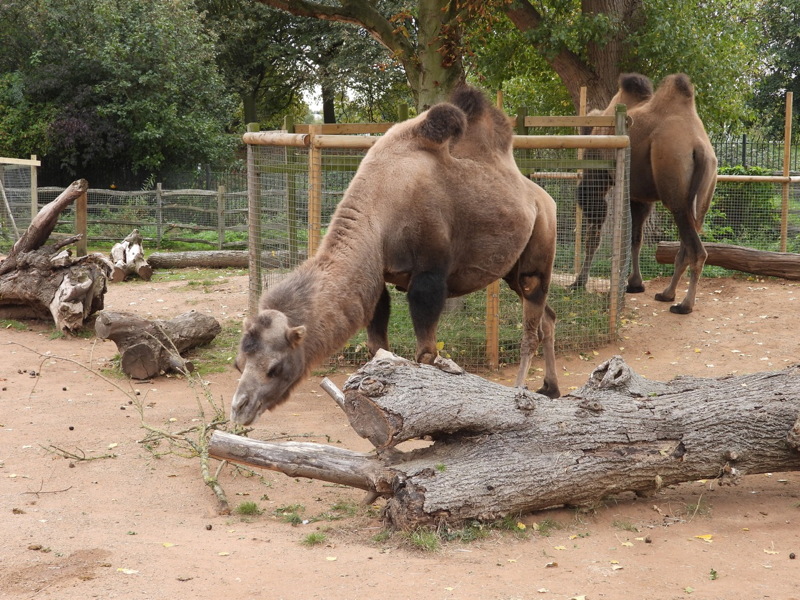 dscn1065.jpg