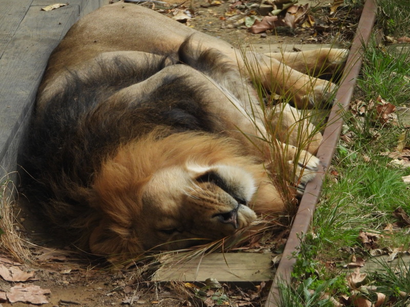 dscn1095.jpg