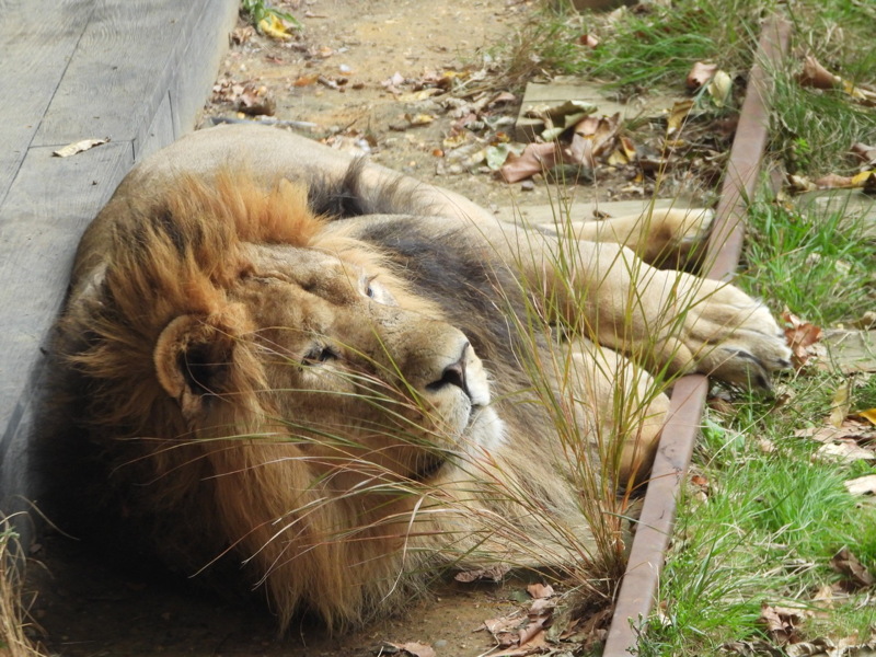 dscn1096.jpg