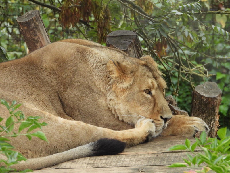 dscn1099.jpg