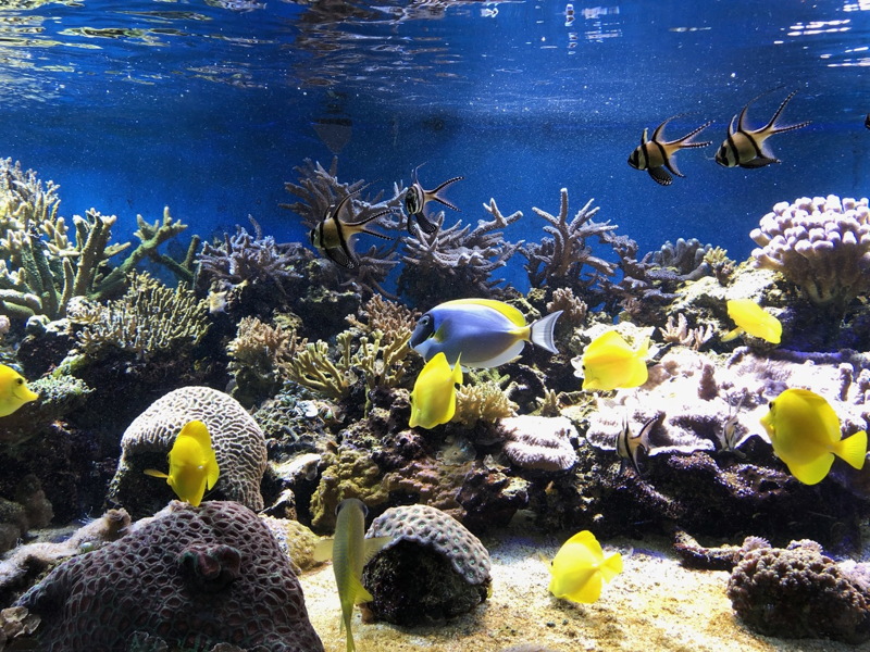 img_4035.jpg
