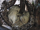dscn0993.jpg