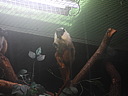 dscn0997.jpg