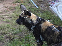 dscn1010.jpg