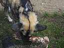 dscn1012.jpg