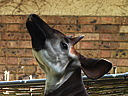 dscn1021.jpg