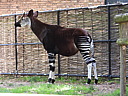 dscn1022.jpg