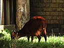 dscn1023.jpg