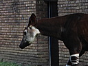 dscn1024.jpg
